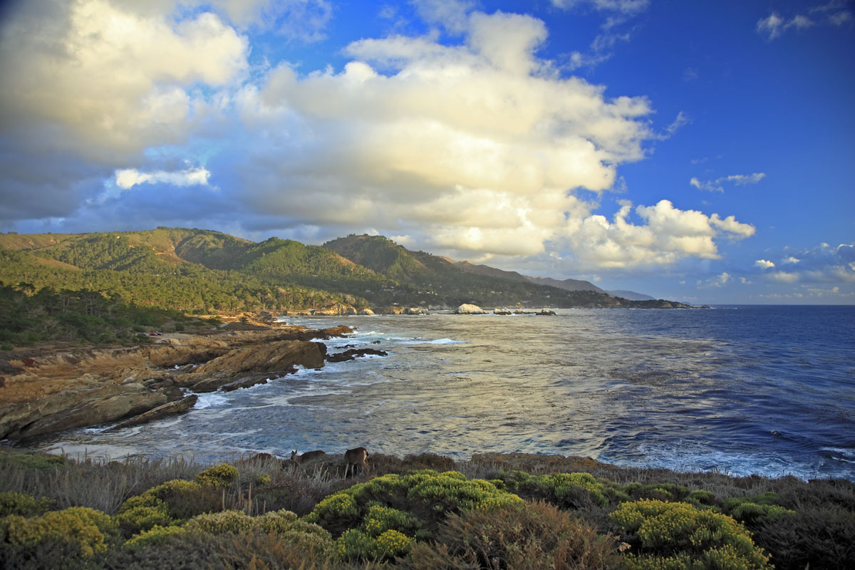 Point Lobos